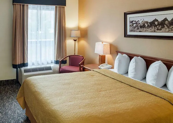 Inn Quality West Worth 4*